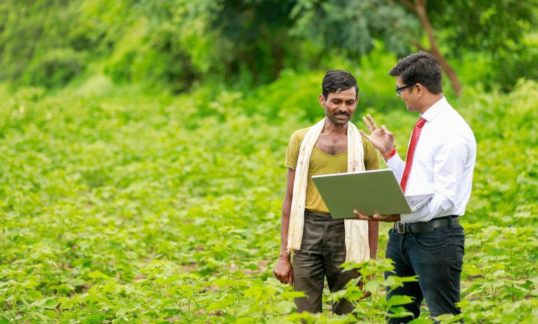 Pea Farming Business - Method, Cost and Profit in India