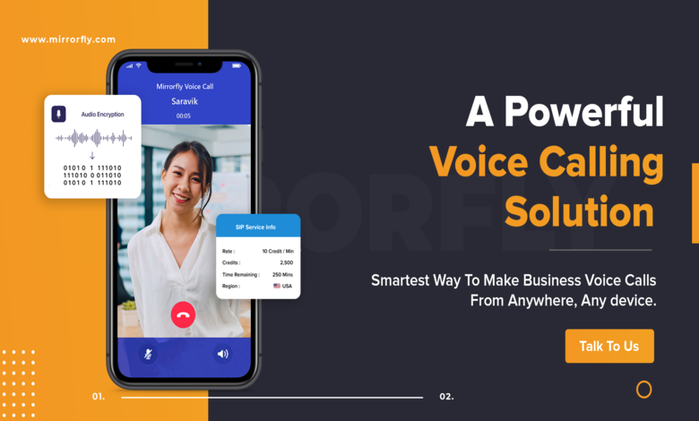 voice call api