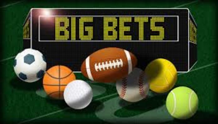 free sports picks daily