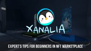 Tips for Beginners in NFT Marketplace