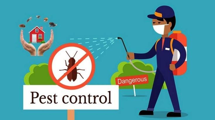 Pest Control Services