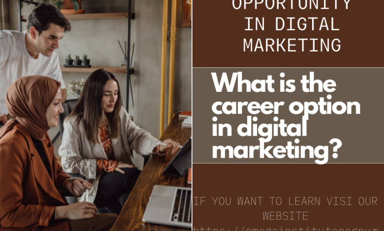 What is the career option in digital marketing?