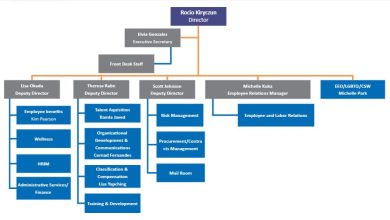 Photo of HR Organizational Chart and Department Structures